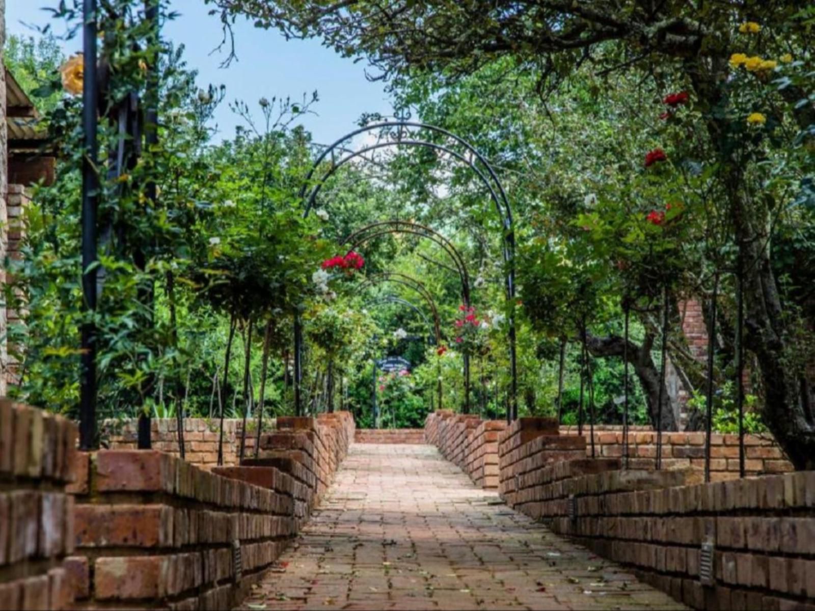 Tarry Stone Cottages Dullstroom Mpumalanga South Africa Plant, Nature, Brick Texture, Texture, Garden