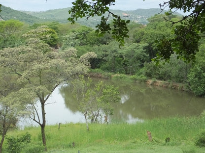 Tatenda Guest House Hazyview Mpumalanga South Africa Forest, Nature, Plant, Tree, Wood, River, Waters, Highland