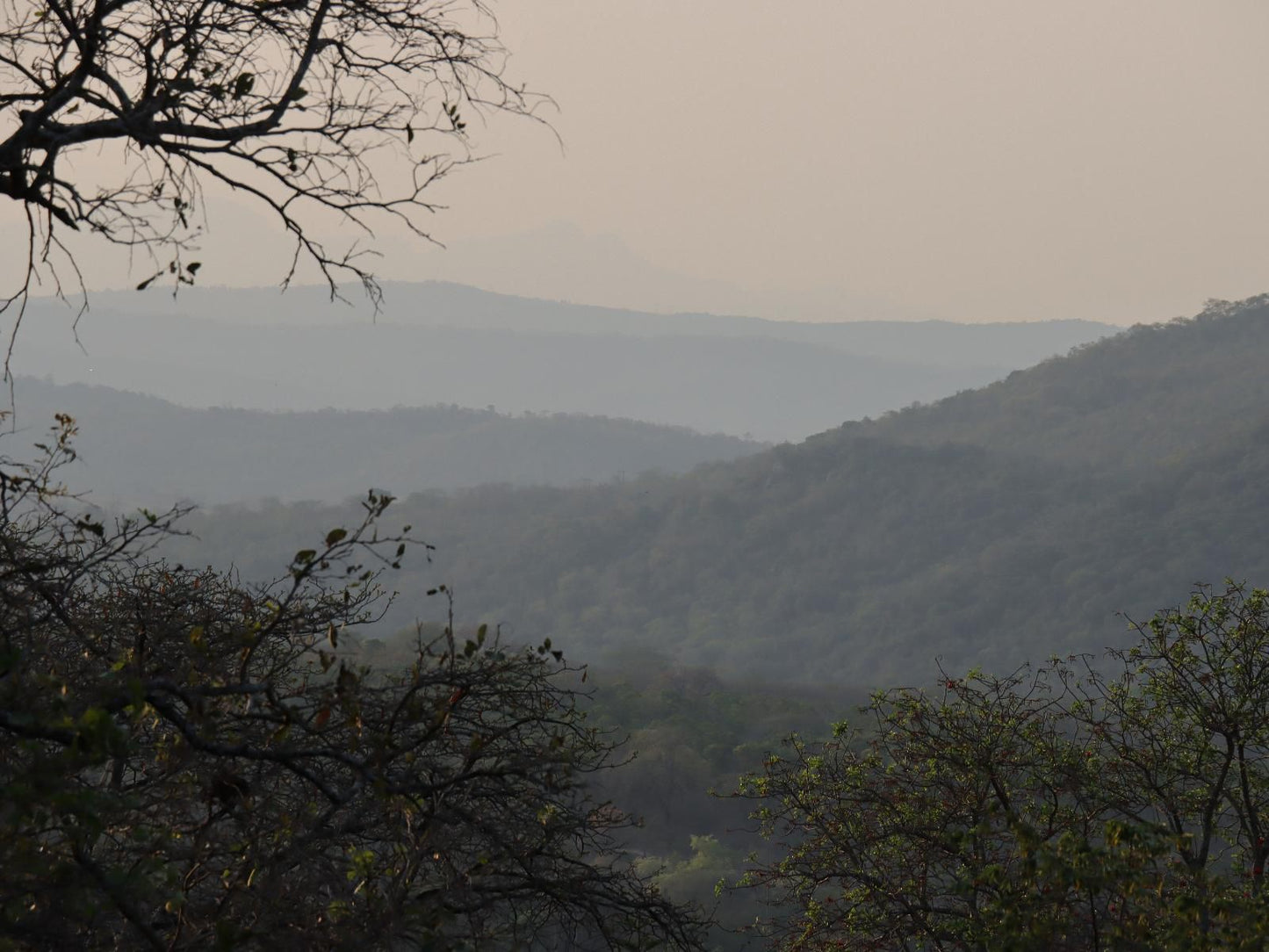 Tatenda Guest House Hazyview Mpumalanga South Africa Unsaturated, Forest, Nature, Plant, Tree, Wood