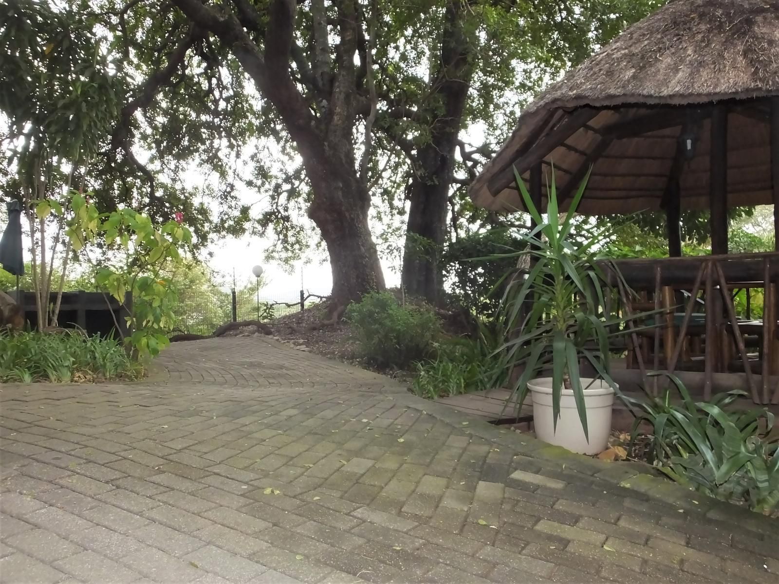 Tatenda Guest House Hazyview Mpumalanga South Africa Unsaturated, Plant, Nature, Garden