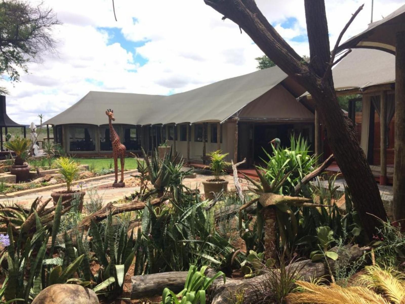 Tau Game Lodge Madikwe Game Reserve North West Province South Africa Palm Tree, Plant, Nature, Wood