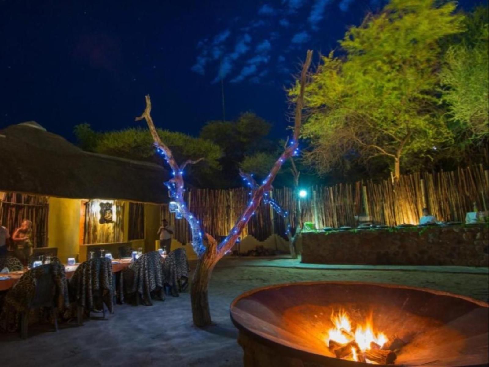 Tau Game Lodge Madikwe Game Reserve North West Province South Africa Bar