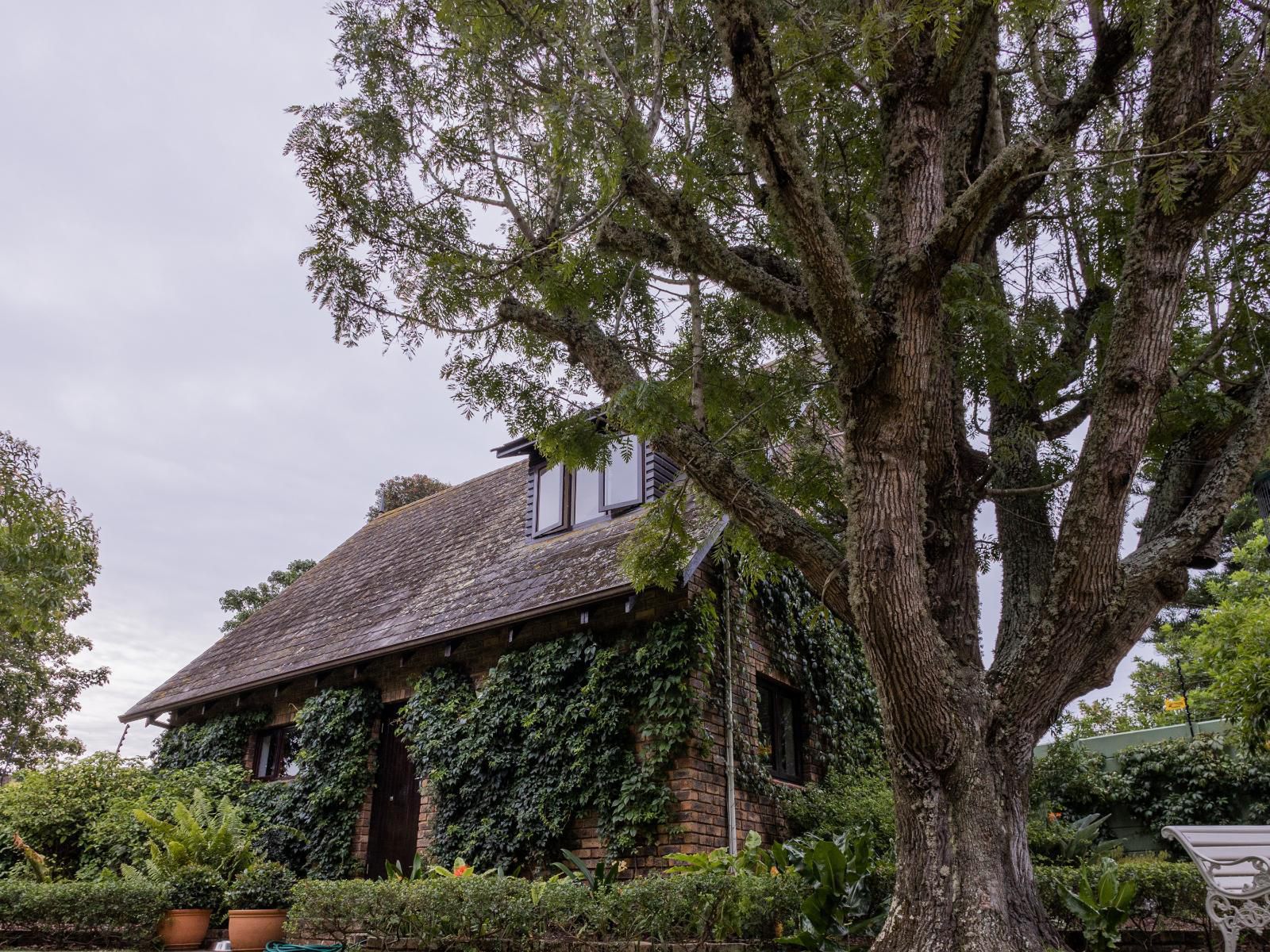 Taunton Stay Port Elizabeth Walmer Port Elizabeth Eastern Cape South Africa Building, Architecture, House, Plant, Nature, Tree, Wood