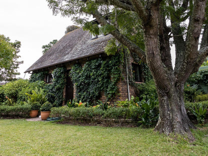 Taunton Stay Port Elizabeth Walmer Port Elizabeth Eastern Cape South Africa Building, Architecture, House, Plant, Nature, Tree, Wood