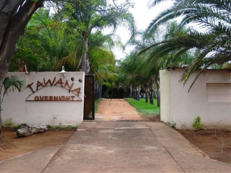 Tawana Overnight Guesthouse Lephalale Ellisras Limpopo Province South Africa Palm Tree, Plant, Nature, Wood, Sign