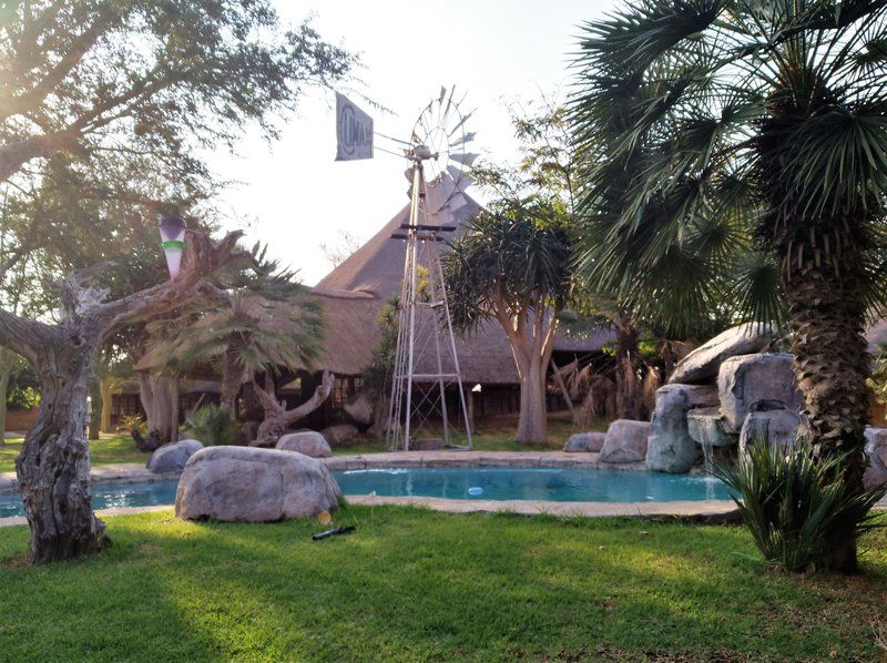 Tawni Safari Lodge Capricorn Limpopo Province South Africa Palm Tree, Plant, Nature, Wood, Swimming Pool