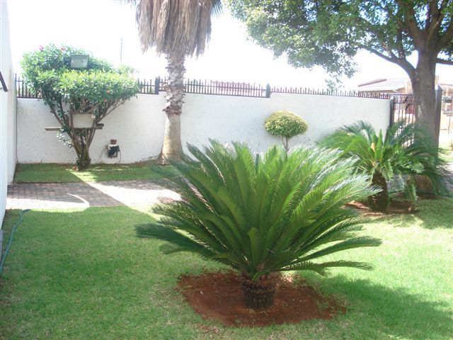 Tebogo Bed And Breakfast Mabopane Pretoria Tshwane Gauteng South Africa Palm Tree, Plant, Nature, Wood, Garden, Swimming Pool