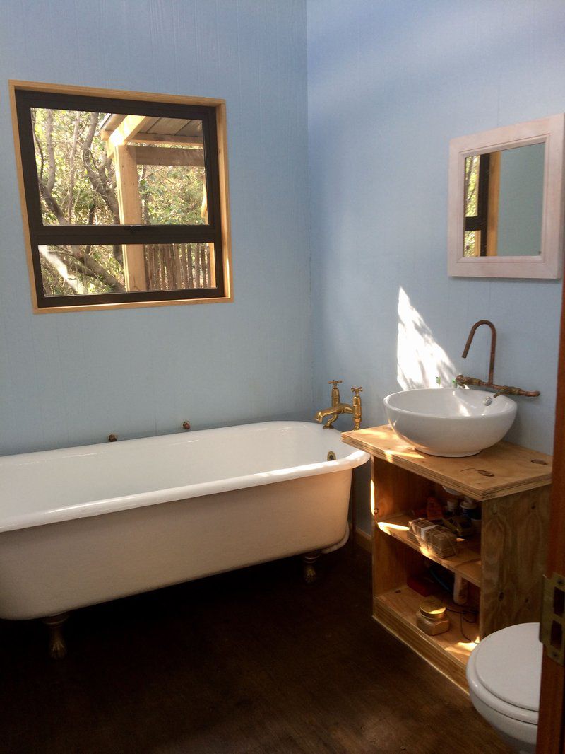 Teddy Bear Cottage Hog Hollow Private Reserve Plettenberg Bay Western Cape South Africa Bathroom