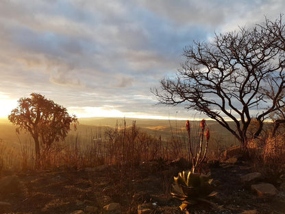 Tegwaan Country Getaway Waterval Boven Mpumalanga South Africa Nature, Sunset, Sky