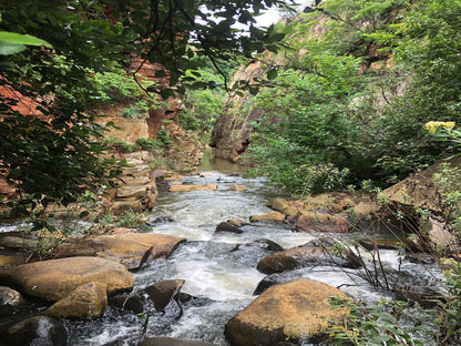 Tegwaan Country Getaway Waterval Boven Mpumalanga South Africa River, Nature, Waters, Tree, Plant, Wood, Waterfall