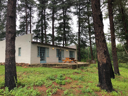 Tegwaan Country Getaway Waterval Boven Mpumalanga South Africa Cabin, Building, Architecture, Tree, Plant, Nature, Wood