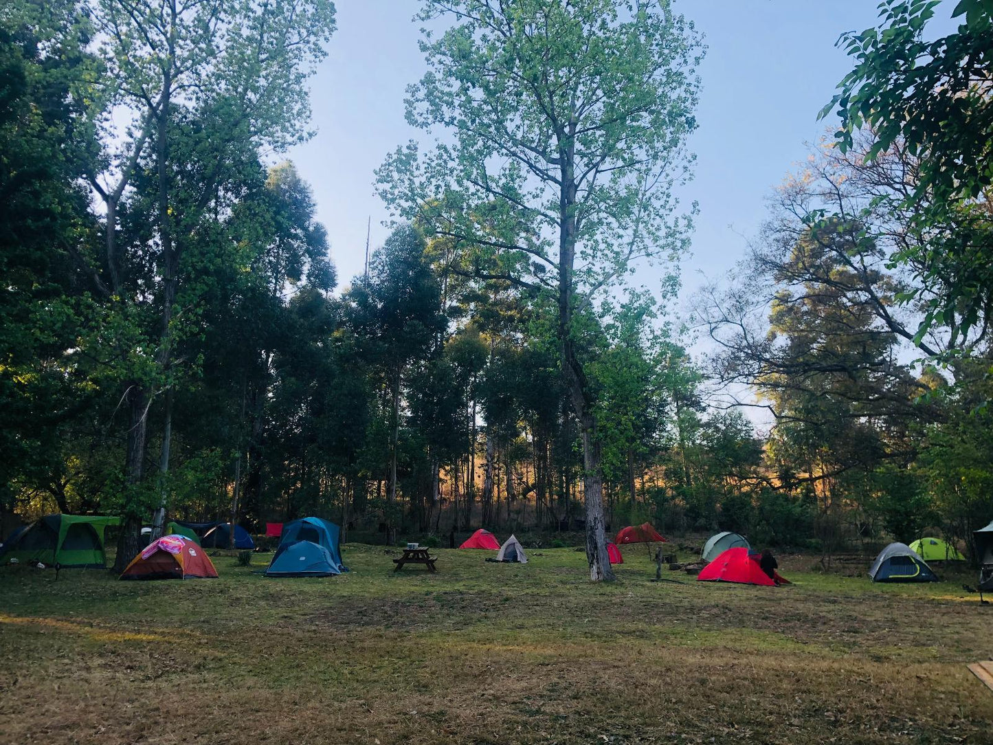Campsite @ Tegwaan Country Getaway