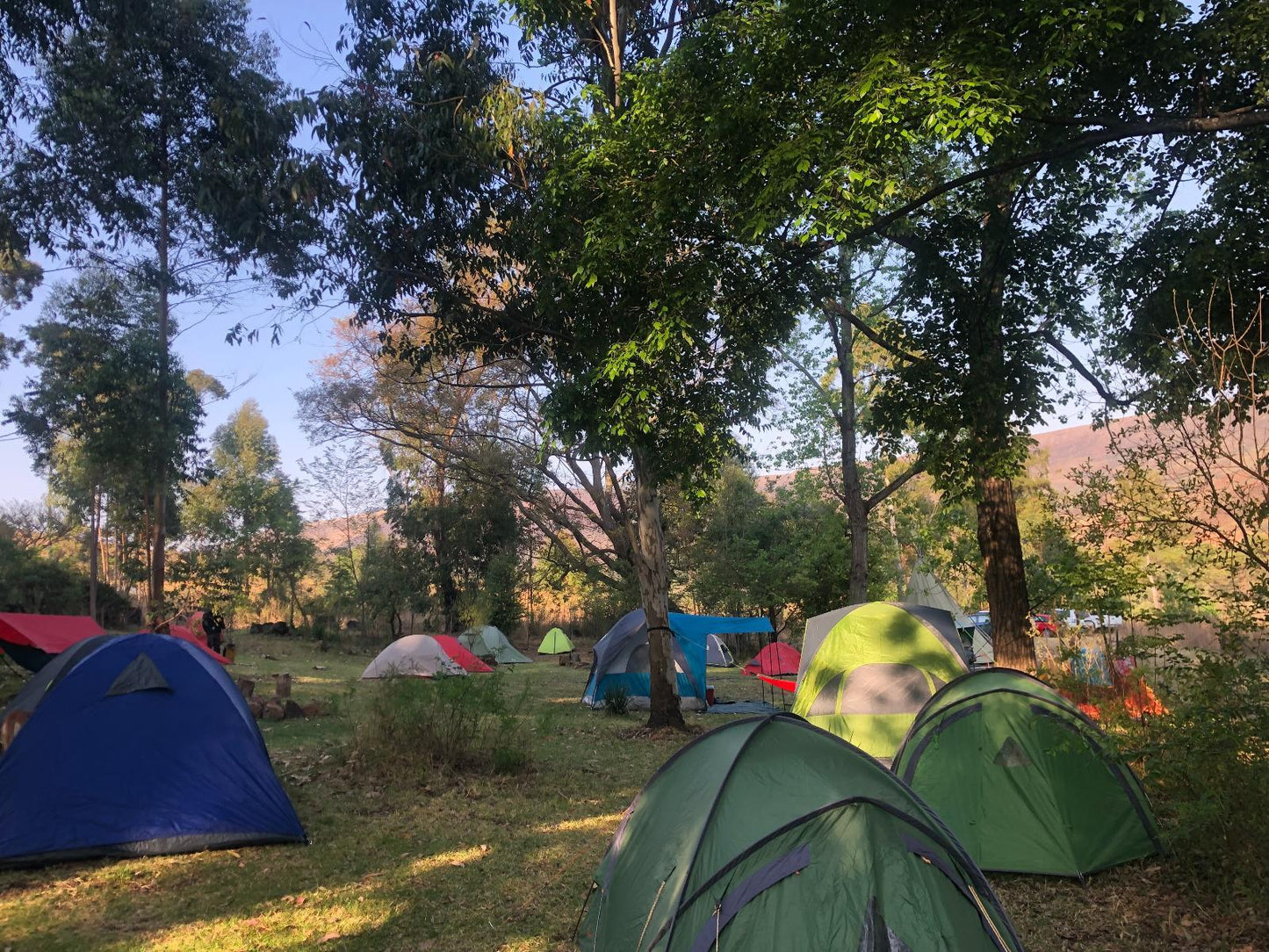 Campsite @ Tegwaan Country Getaway