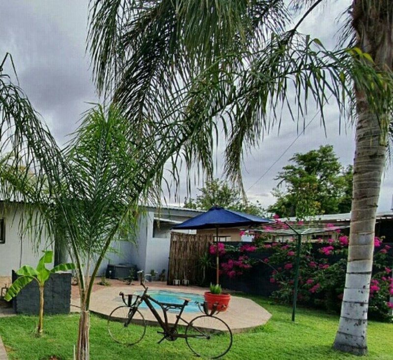 Tehillah Gastehuis Oosterville Upington Northern Cape South Africa Palm Tree, Plant, Nature, Wood, Garden
