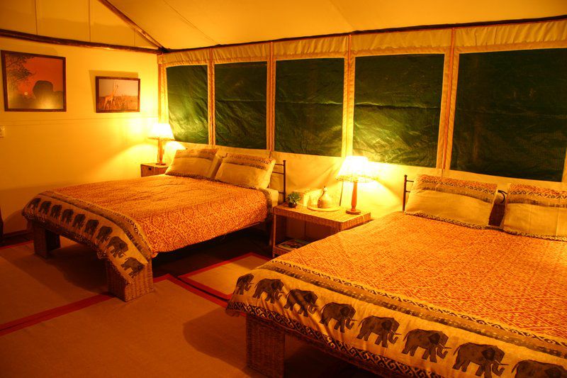 Tembe Elephant Park Tembe Elephant Park Kwazulu Natal South Africa Colorful, Bedroom