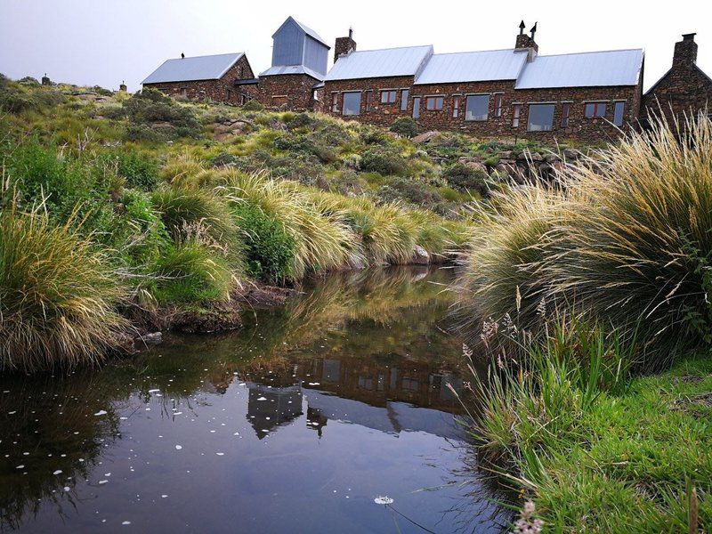 Tenahead Mountain Lodge And Spa Rhodes Eastern Cape South Africa 