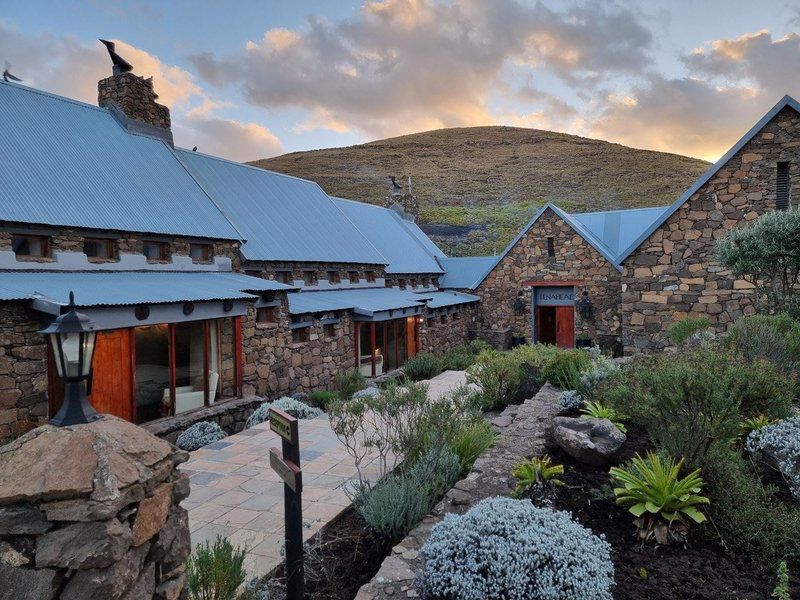 Tenahead Mountain Lodge And Spa Rhodes Eastern Cape South Africa Mountain, Nature, Highland