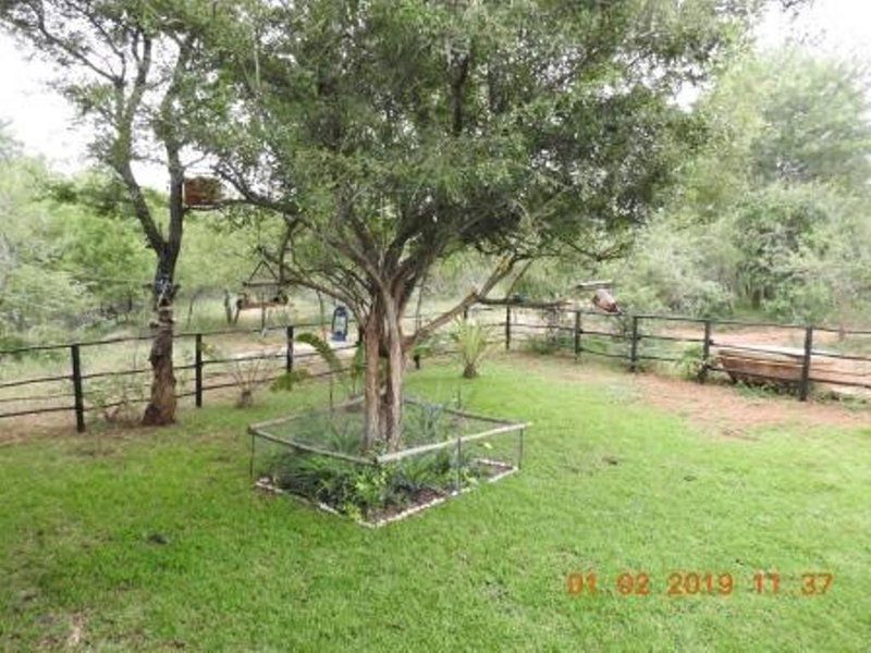 Ten Cate House Marloth Park Mpumalanga South Africa Plant, Nature