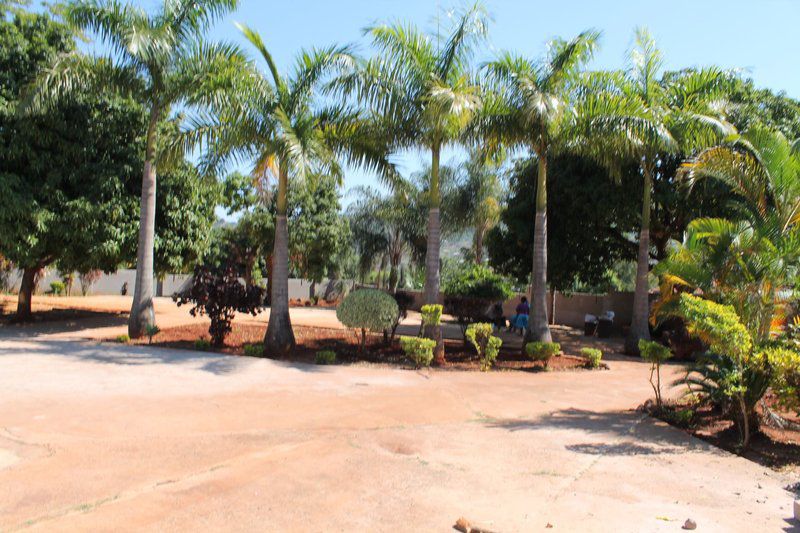Tenda Bed And Breakfast Thohoyandou Limpopo Province South Africa Palm Tree, Plant, Nature, Wood