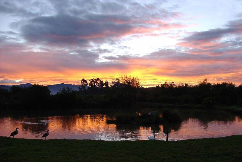 Tenikwa Family Suites The Crags Western Cape South Africa Sky, Nature, Sunset