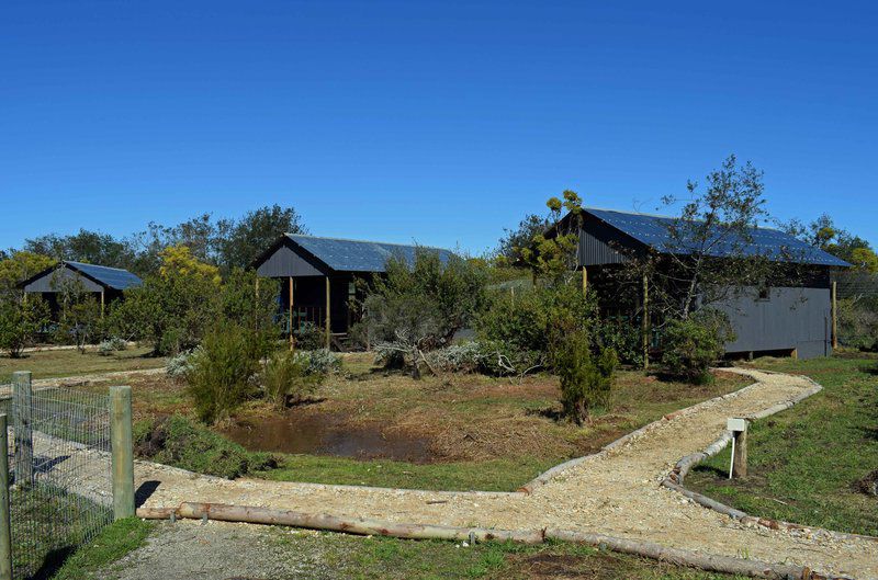 Tenikwa Lion Cabins The Crags Western Cape South Africa Complementary Colors, Cabin, Building, Architecture