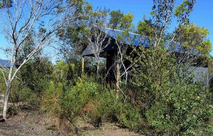 Tenikwa Lion Cabins The Crags Western Cape South Africa Complementary Colors, Barn, Building, Architecture, Agriculture, Wood