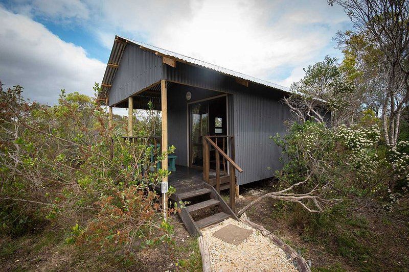 Tenikwa Lion Cabins The Crags Western Cape South Africa Cabin, Building, Architecture