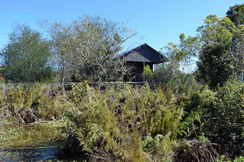 Tenikwa Lion Cabins The Crags Western Cape South Africa Complementary Colors, Plant, Nature