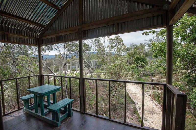 Tenikwa Lion Cabins The Crags Western Cape South Africa 