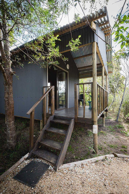 Tenikwa Lion Cabins The Crags Western Cape South Africa Cabin, Building, Architecture