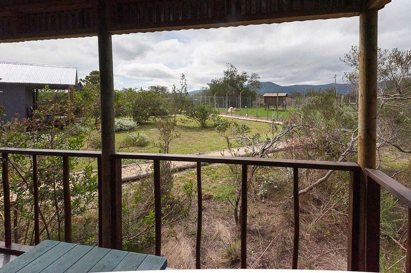 Tenikwa Lion Cabins The Crags Western Cape South Africa 