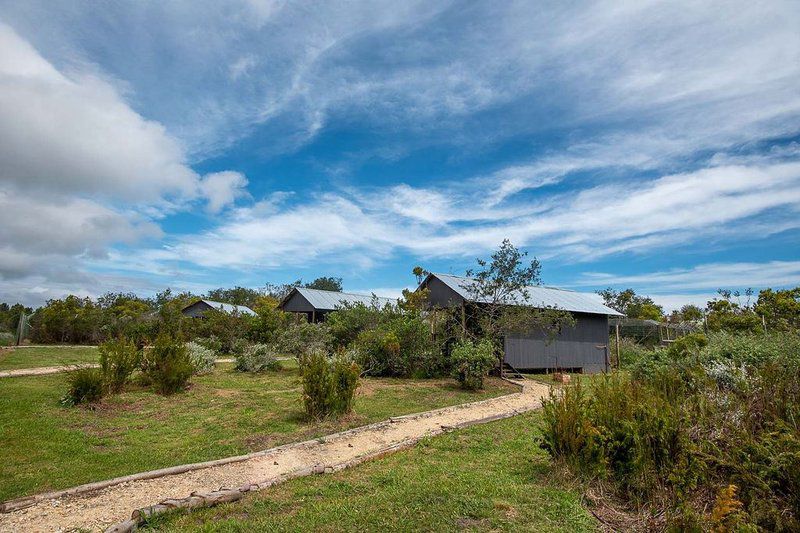 Tenikwa Lion Cabins The Crags Western Cape South Africa Complementary Colors, Building, Architecture