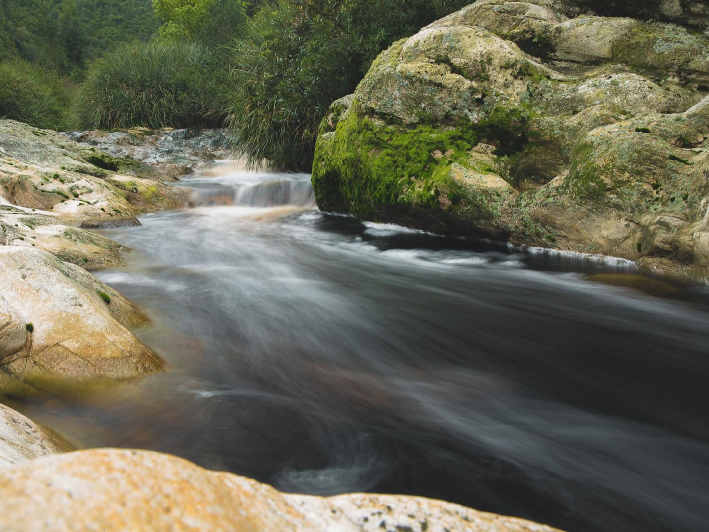 Teniqua Treetops Karatara Knysna Western Cape South Africa River, Nature, Waters, Waterfall