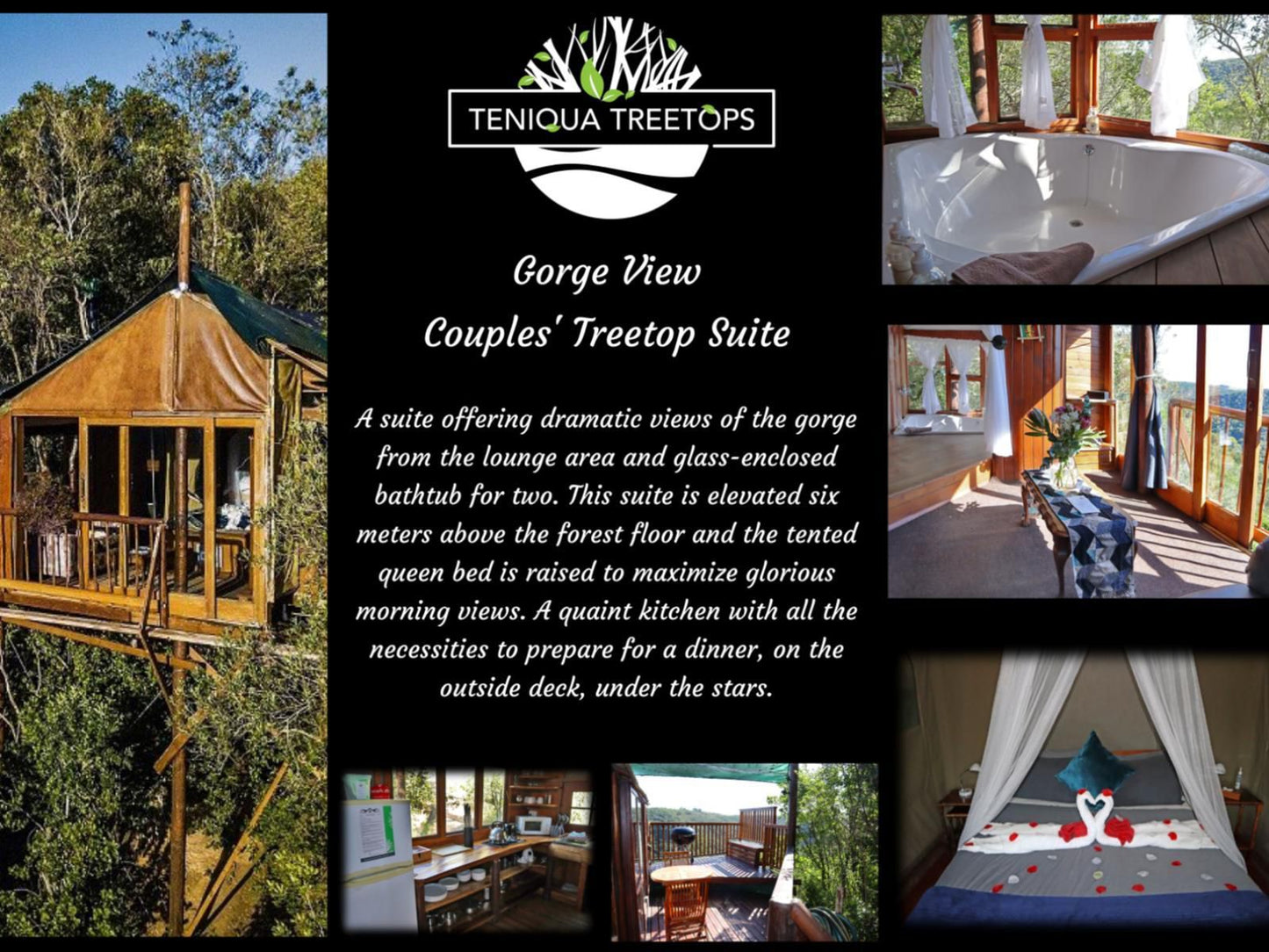 Teniqua Treetops Karatara Knysna Western Cape South Africa 