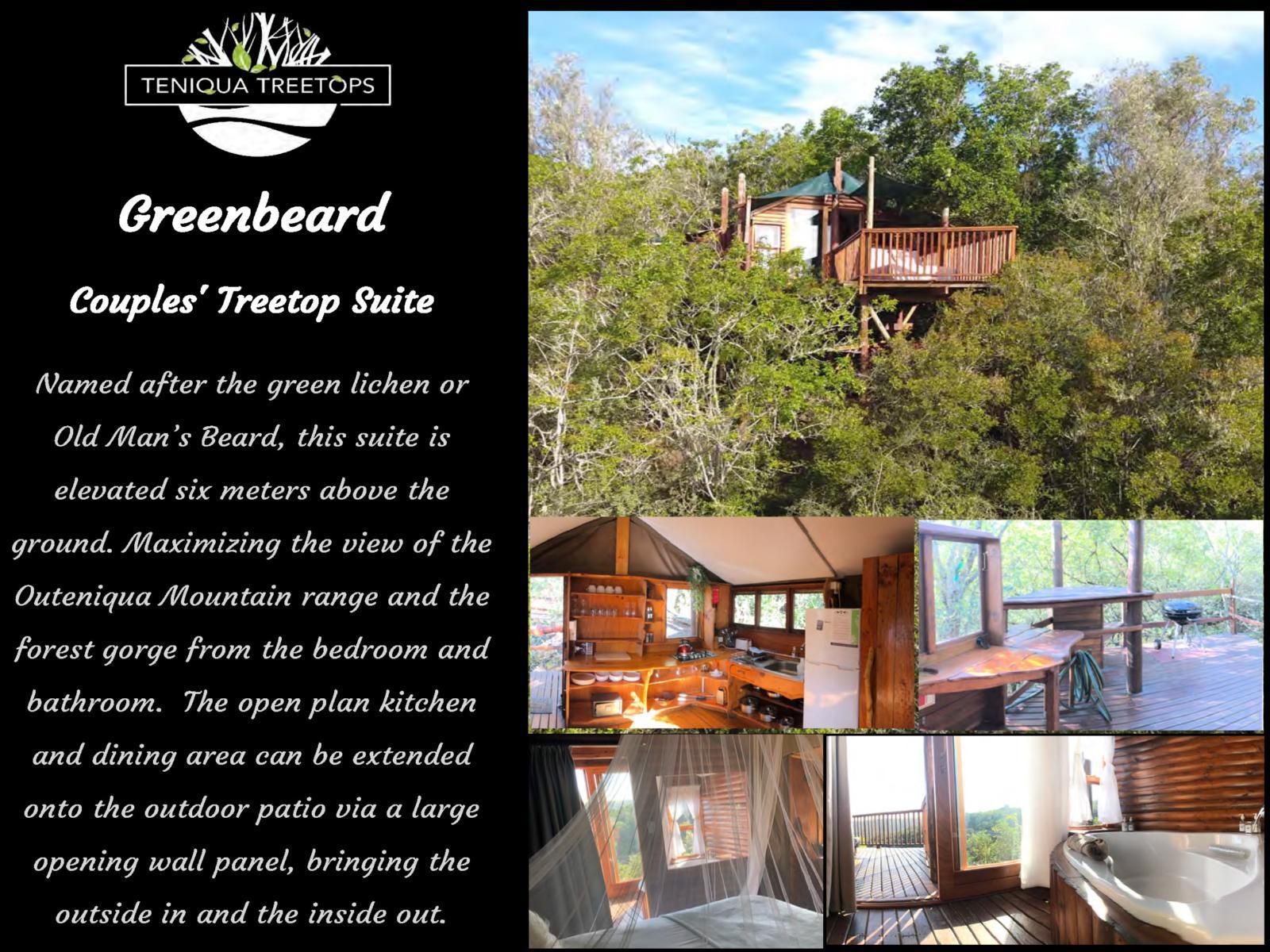 Teniqua Treetops Karatara Knysna Western Cape South Africa House, Building, Architecture