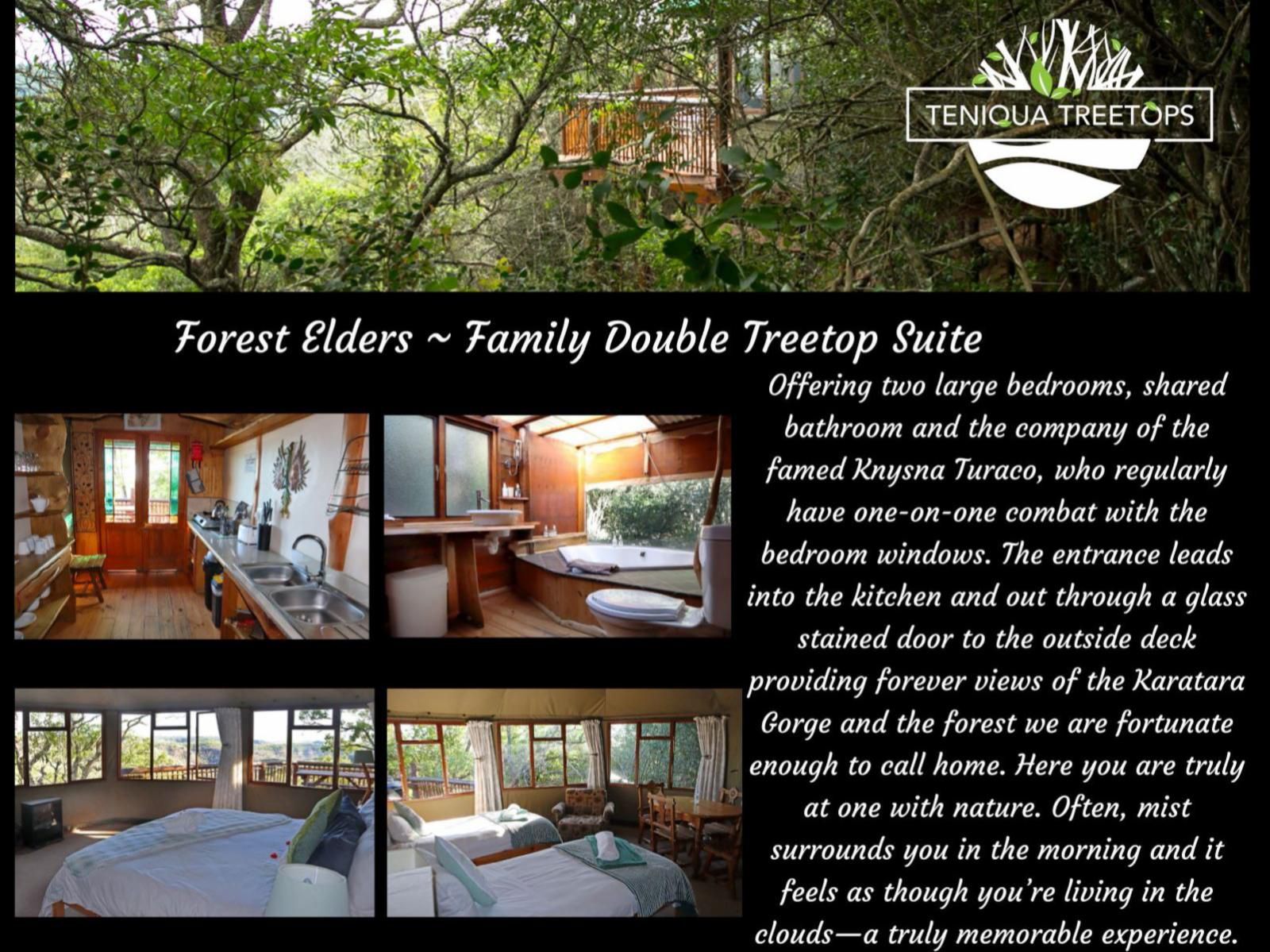 Teniqua Treetops Karatara Knysna Western Cape South Africa Cabin, Building, Architecture, Forest, Nature, Plant, Tree, Wood