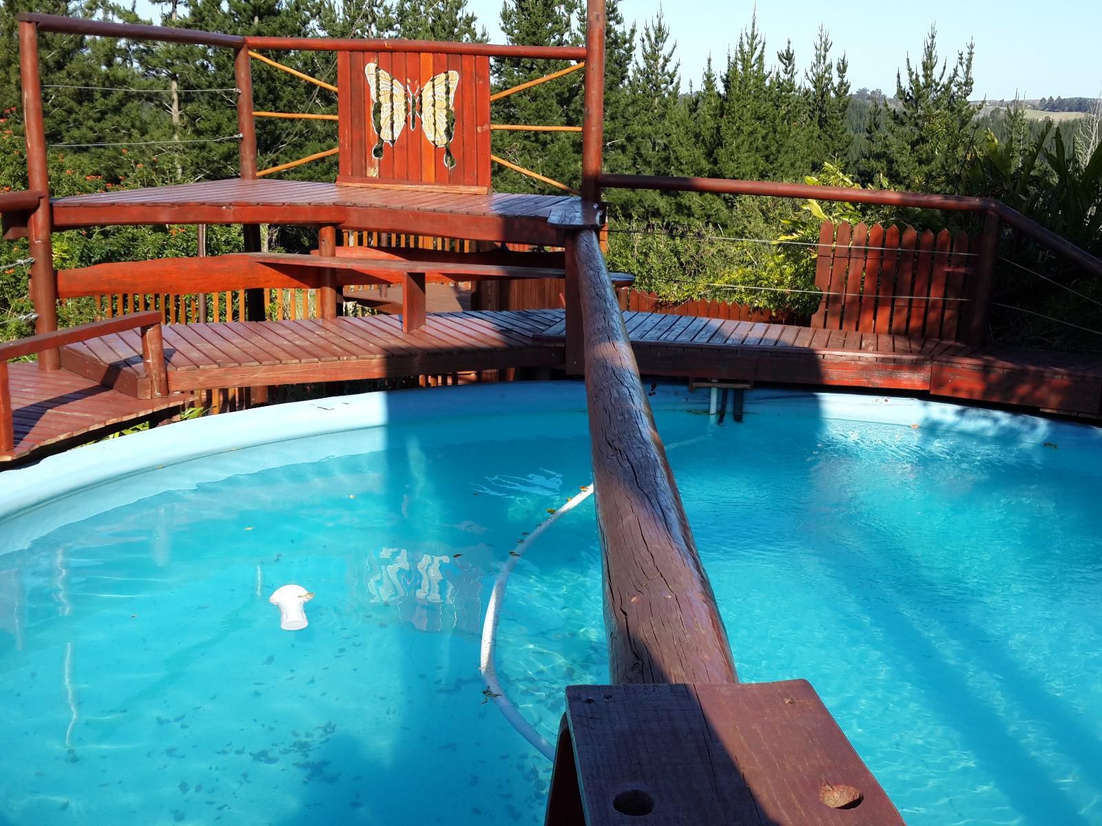 Teniqua Treetops Karatara Knysna Western Cape South Africa Complementary Colors, Swimming Pool