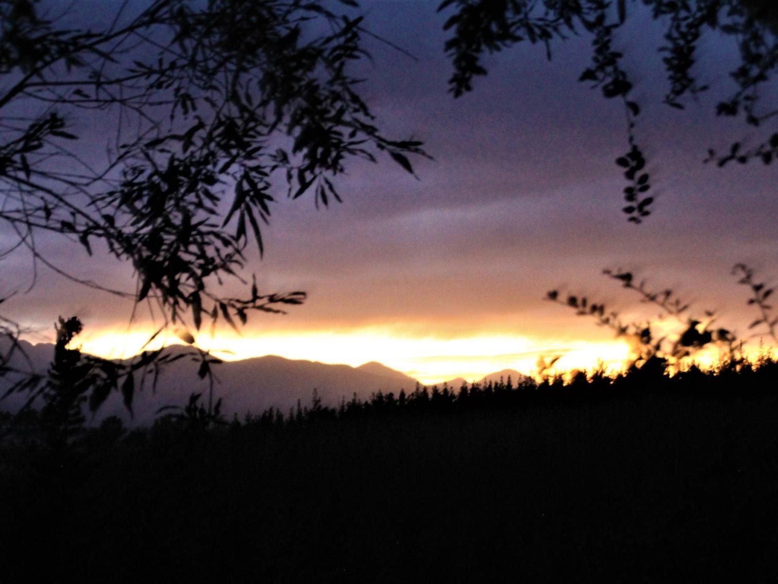 Teniqua Treetops Karatara Knysna Western Cape South Africa Sky, Nature, Sunset