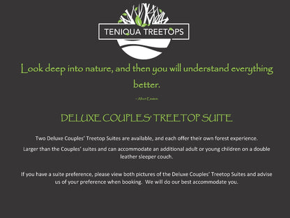 Deluxe Couples Treetop Suite @ Teniqua Treetops