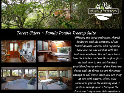 Family Double Treetops Suite @ Teniqua Treetops
