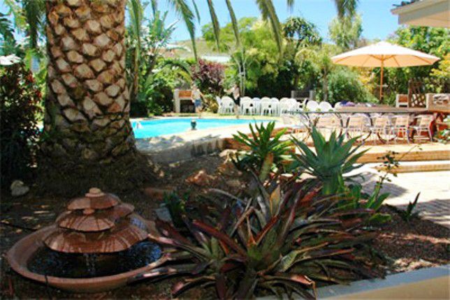 Terrace Hill Bed And Breakfast Ashton Western Cape South Africa Palm Tree, Plant, Nature, Wood, Garden, Swimming Pool