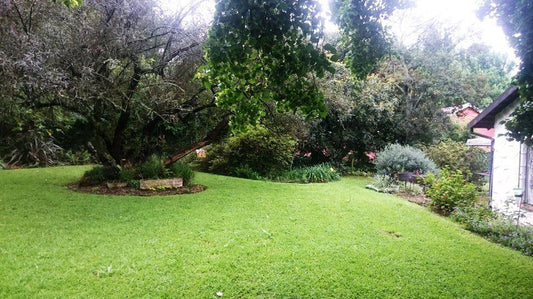 Teviot Place Howick Kwazulu Natal South Africa Plant, Nature, Tree, Wood, Garden