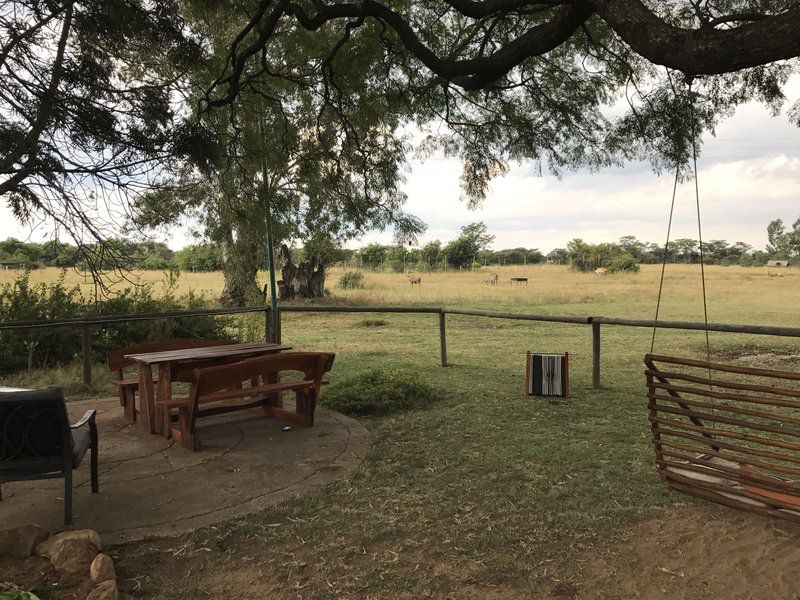 Thaba Tholo Game Farm Mookgopong Naboomspruit Limpopo Province South Africa Lowland, Nature