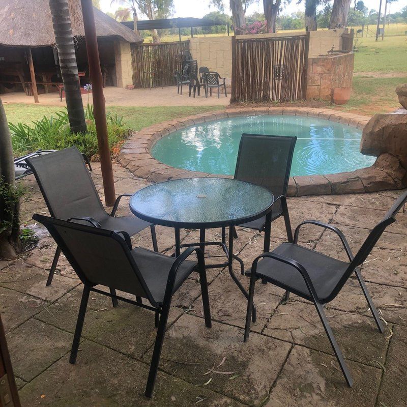 Thaba Tholo Game Farm Mookgopong Naboomspruit Limpopo Province South Africa Palm Tree, Plant, Nature, Wood, Living Room, Swimming Pool