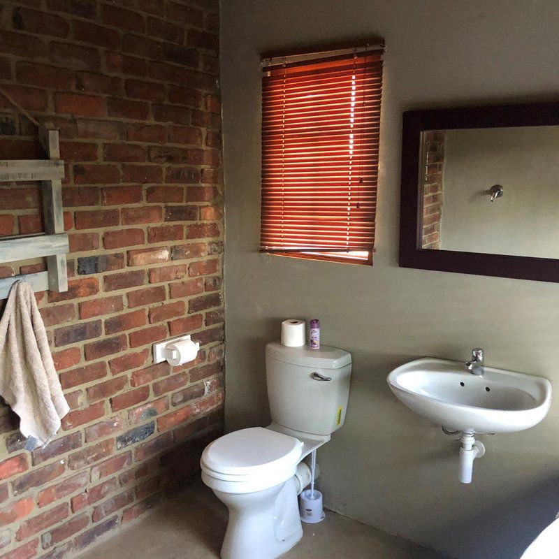 Thaba Tholo Game Farm Mookgopong Naboomspruit Limpopo Province South Africa Bathroom, Brick Texture, Texture