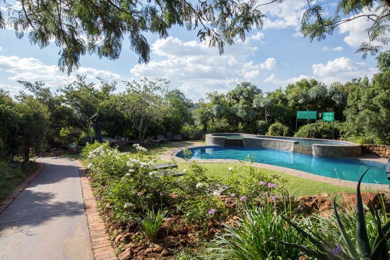 Thaba Eco Hotel Klipriviersberg Nature Reserve Johannesburg Gauteng South Africa Complementary Colors, Palm Tree, Plant, Nature, Wood, Garden, Swimming Pool
