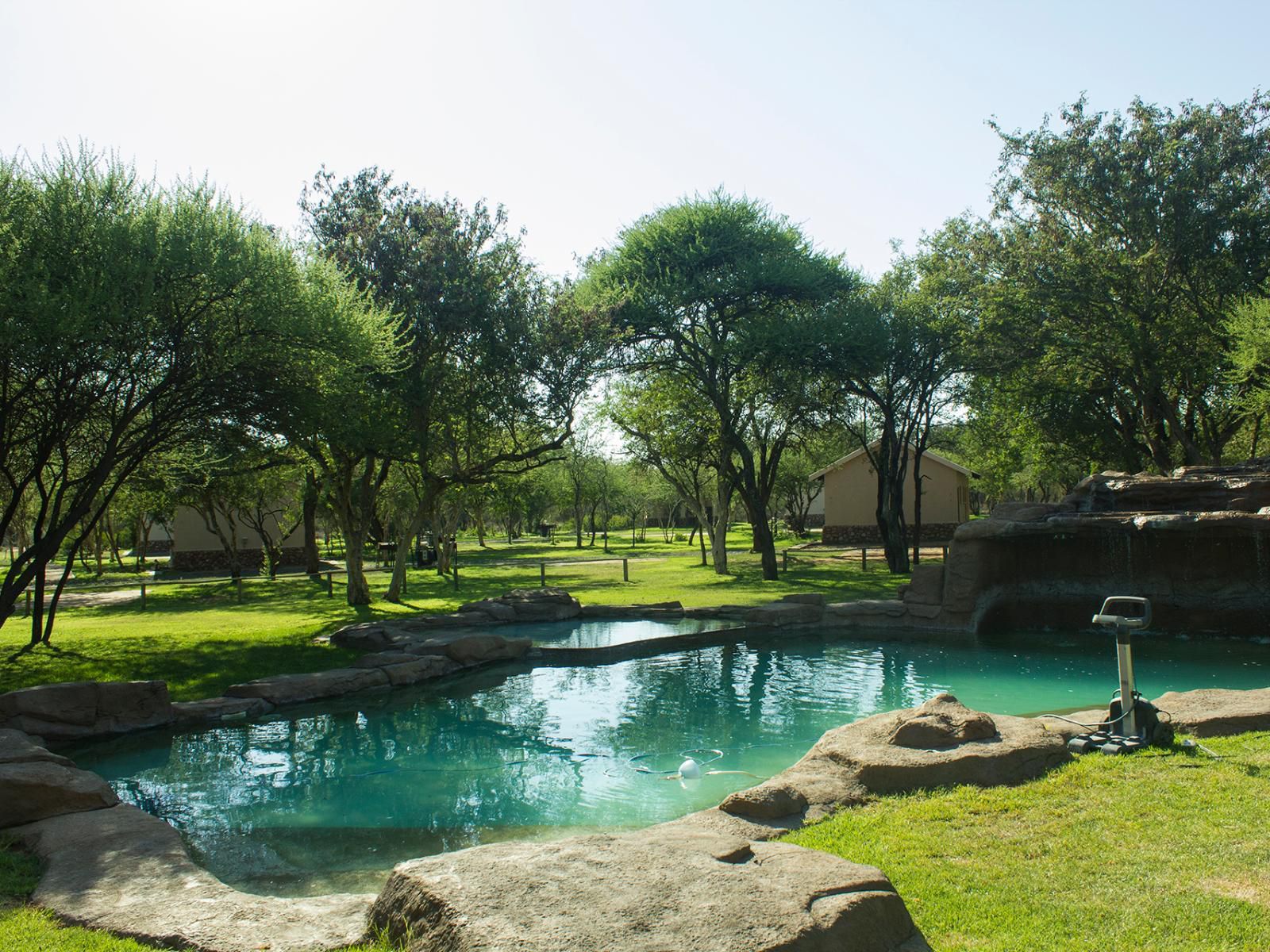 Thabaledi Game Lodge Massikier North West Province South Africa Garden, Nature, Plant, Swimming Pool