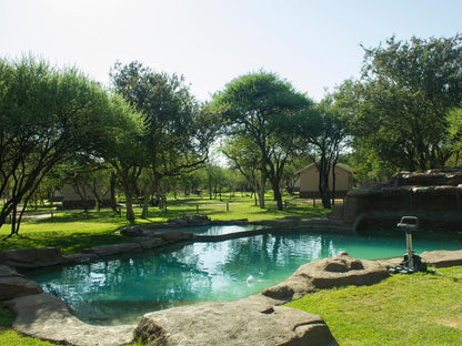 Thabaledi Game Lodge Massikier North West Province South Africa Garden, Nature, Plant, Swimming Pool