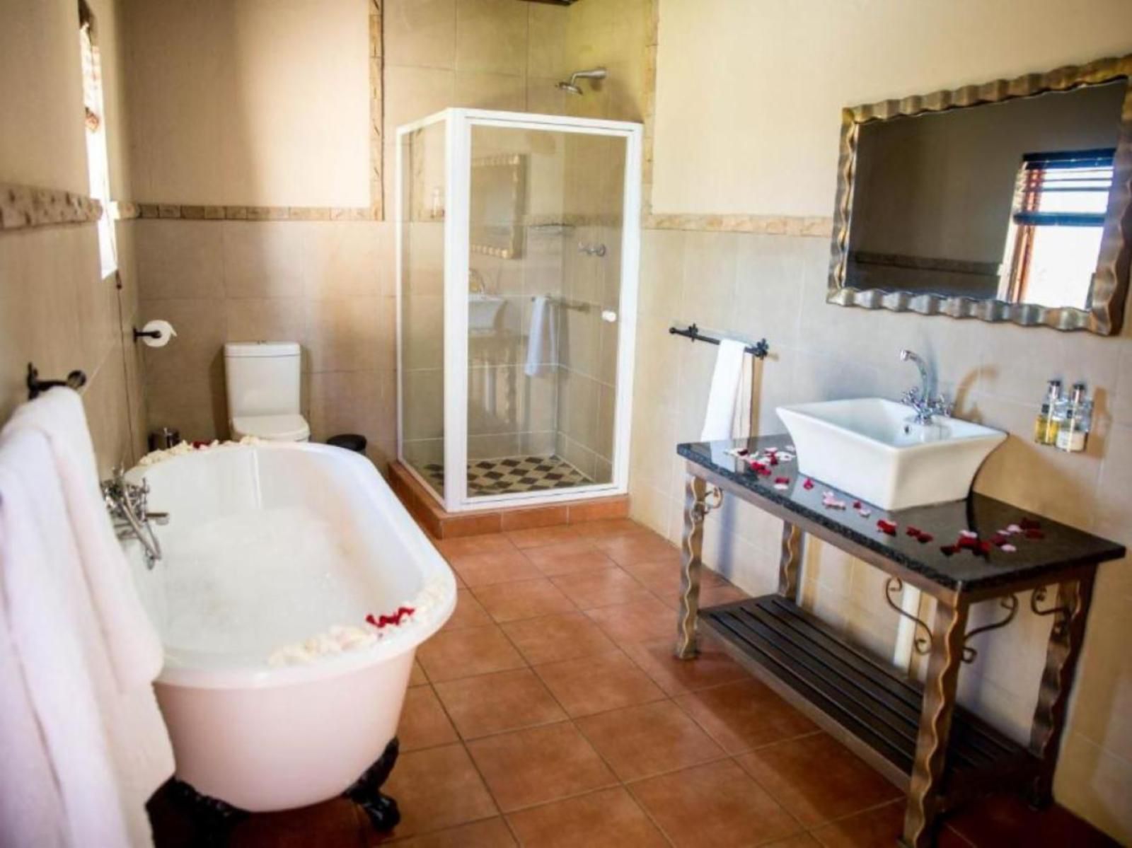 Thaba Legae Guest Lodge Rustenburg North West Province South Africa Bathroom