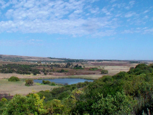 Thabametsi Farm Magaliesburg Gauteng South Africa Complementary Colors, Lowland, Nature